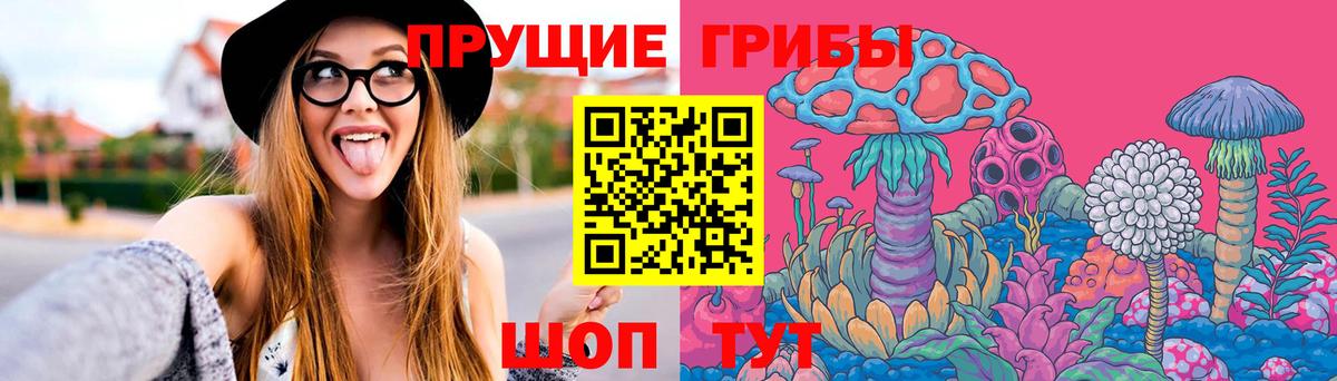 Псилоцибиновые грибы GOLDEN TEACHER  Вход с VPN  Псилоцибиновые грибы прущие грибы  Горячий Ключ 
